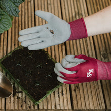 Load image into Gallery viewer, Kent & Stowe All Round Triple Pack Gloves Plum