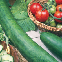 Load image into Gallery viewer, Cucumber Tasty King F1