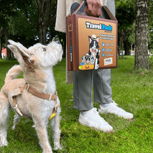 Load image into Gallery viewer, DoggyRade TravelPack Kit For Dogs Prebiotic Drinks & Treats