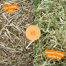 Load image into Gallery viewer, HayDay Tasty Timothy Hay
