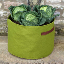 Load image into Gallery viewer, Haxnicks Vigoroot Planter