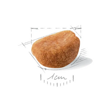 Load image into Gallery viewer, Royal Canin Rottweiller Puppy Food 12kg