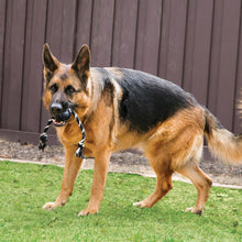 Load image into Gallery viewer, KONG Extreme Ball w/Rope Large