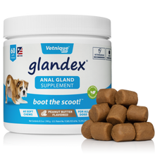 Load image into Gallery viewer, Glandex Soft Peanut Butter Chews For Anal Gland Problems In Cats & Dogs