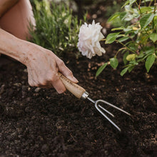 Load image into Gallery viewer, Kent & Stowe Stainless Steel Hand 3 Prong Cultivator