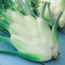 Load image into Gallery viewer, Fennel Perfection