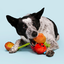 Load image into Gallery viewer, Bark Hairloom Tomatoes Dog Toy