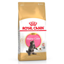 Load image into Gallery viewer, Royal Canin Maine Coon Kitten Dry Food For Cats