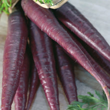 Load image into Gallery viewer, Carrot Purple Sun