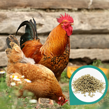 Load image into Gallery viewer, Copdock Mill Range Layers Pellets Carry Home Pack 5kg