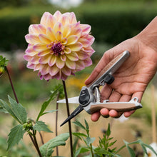Load image into Gallery viewer, Kent & Stowe Garden Life Flower Snips
