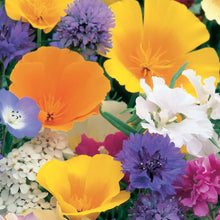 Load image into Gallery viewer, Annual Flowers Dwarf Unwins Special Mix