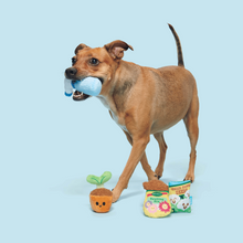 Load image into Gallery viewer, Bark Greenhouse Gang Dog Toy