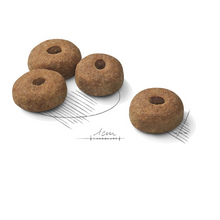 Load image into Gallery viewer, Royal Canin CCN Maxi Sterilised Dog Food 12kg