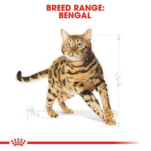 Load image into Gallery viewer, Royal Canin Bengal Cat Food 10kg