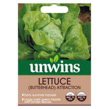 Load image into Gallery viewer, Lettuce (Butterhead) Attraction