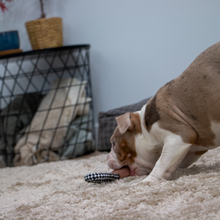 Load image into Gallery viewer, Ancol Small Bite Teddy Teether Tugger