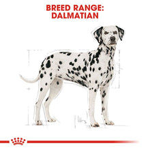 Load image into Gallery viewer, Royal Canin Dalmatian Food 12kg