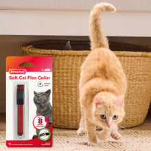 Load image into Gallery viewer, Beaphar Soft Velvet Flea Collar For Cats 30cm