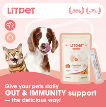 Load image into Gallery viewer, Litpet Digest Well Meaty Mix 10 x 15g Sachets per pack