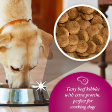 Load image into Gallery viewer, Arkwrights Complete Food For Working Dogs | Chicken | Beef