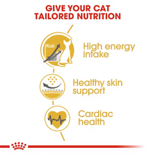 Load image into Gallery viewer, Royal Canin Cat Sphynx Adult 10kg Expires 27/05/26