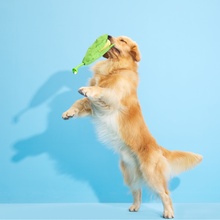 Load image into Gallery viewer, Bark Corn On The Slob Dog Toy