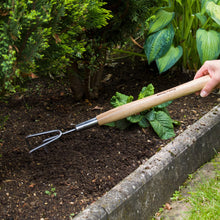 Load image into Gallery viewer, Kent & Stowe Stainless Steel Border 3 Prong Cultivator