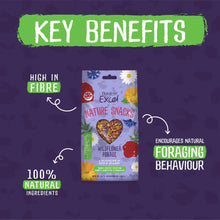 Load image into Gallery viewer, Burgess Excel Wildflower Forage Treat For Rabbits & Guinea Pigs 75g