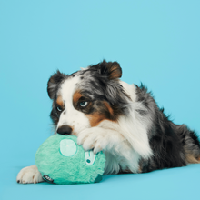 Load image into Gallery viewer, Bark Aurora Beast Dog Toy