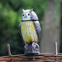 Load image into Gallery viewer, The Big Cheese Wind-Action Owl