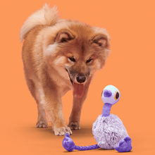 Load image into Gallery viewer, Bark Adelaide Emu Dog Toy