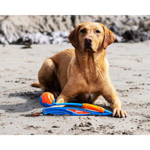 Load image into Gallery viewer, Chuckit! Fetch & Fold Dog Ball Launcher