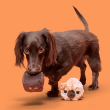 Load image into Gallery viewer, Bark Walken Wombat Dog Toy