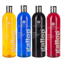 Load image into Gallery viewer, Carr & Day & Martin Gallop Colour For Horses 500ml