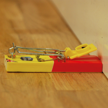 Load image into Gallery viewer, The Big Cheese Fresh Baited Mouse Trap - Twinpack