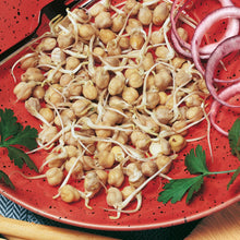 Load image into Gallery viewer, Sprouting Seeds Chickpea
