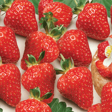 Load image into Gallery viewer, Strawberry Delician
