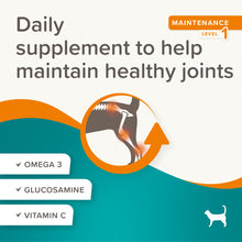 Load image into Gallery viewer, Beaphar Flexifit Cat Bits Daily Treat Joint Supplement