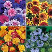 Load image into Gallery viewer, Unwins Scatter & Grow Collection Pack