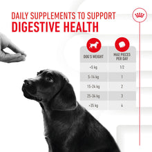 Load image into Gallery viewer, Royal Canin Adult Digestion Supplement 160g