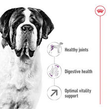 Load image into Gallery viewer, Royal Canin Giant Adult 15kg