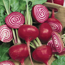 Load image into Gallery viewer, Unwins Root Harvest Seed Bundle