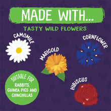 Load image into Gallery viewer, Burgess Excel Wildflower Forage Treat For Rabbits & Guinea Pigs 75g