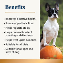Load image into Gallery viewer, Karnlea Pumpkin Powder for Dogs 200g