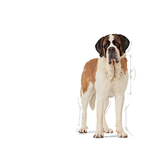 Load image into Gallery viewer, Royal Canin Giant Junior 15kg