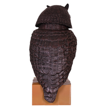 Load image into Gallery viewer, The Big Cheese Wind-Action Owl