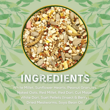 Load image into Gallery viewer, Copdock Mill Wild Bird Garden Feast 2.5kg