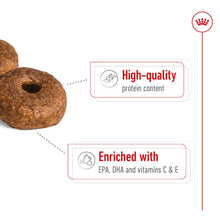 Load image into Gallery viewer, Royal Canin Medium Ageing 10+ Dog Food 15kg