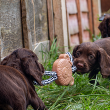 Load image into Gallery viewer, Ancol Small Bite Teddy Teether Tugger